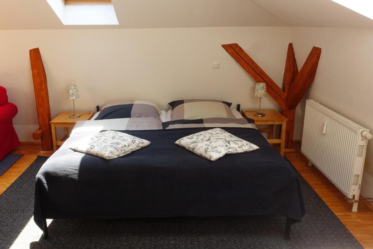 Campus Apartment Martin 德累斯顿 外观 照片