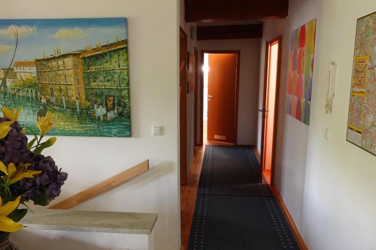 Campus Apartment Martin 德累斯顿 外观 照片